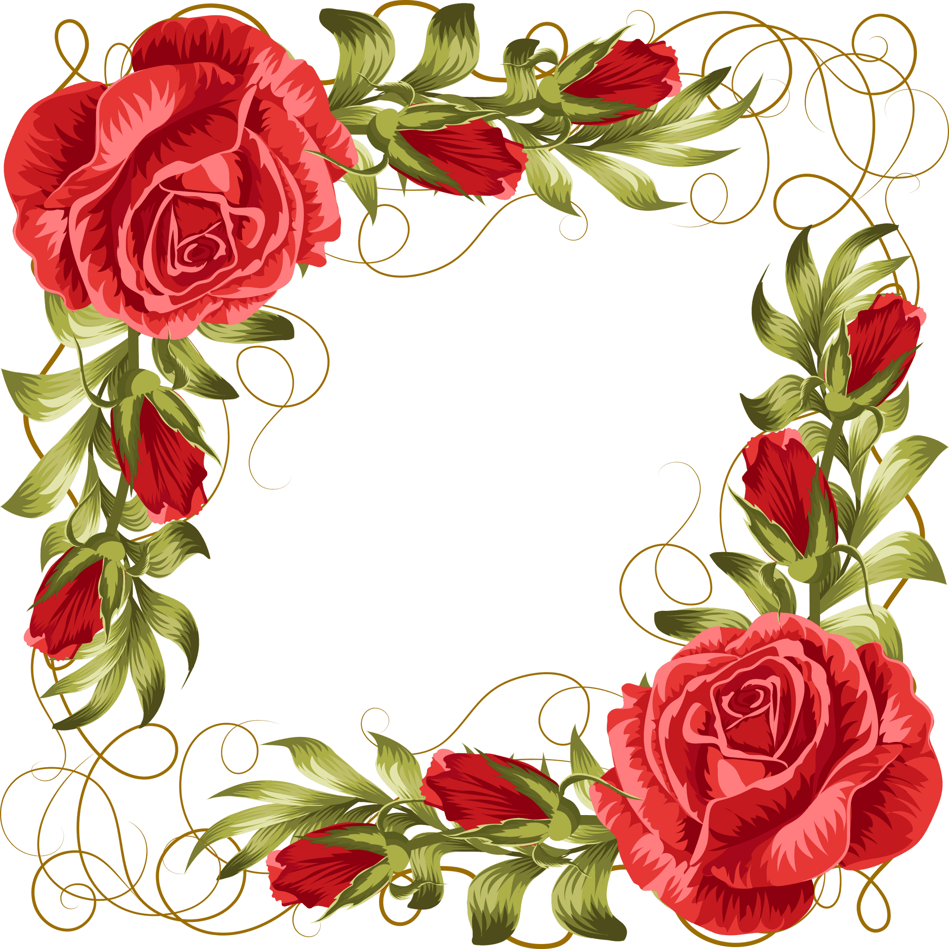 Elegant Red Rose Floral Frame PNG Image