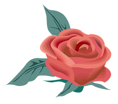 Elegant Red Rose Vector Art PNG Image