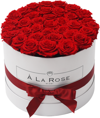 Elegant Red Roses Birthday Bouquet PNG Image