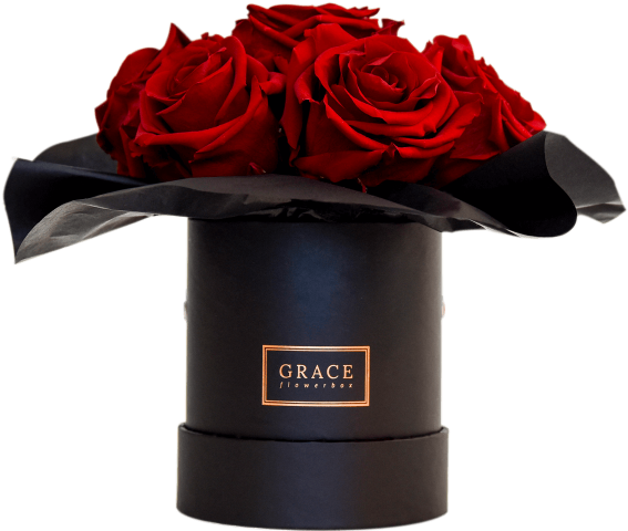 Elegant Red Rosesin Black Box PNG Image