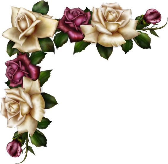 Elegant Rose Corner Design PNG Image