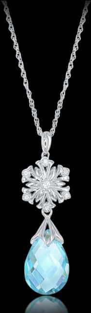 Elegant Snowflake Pendant Necklace PNG Image