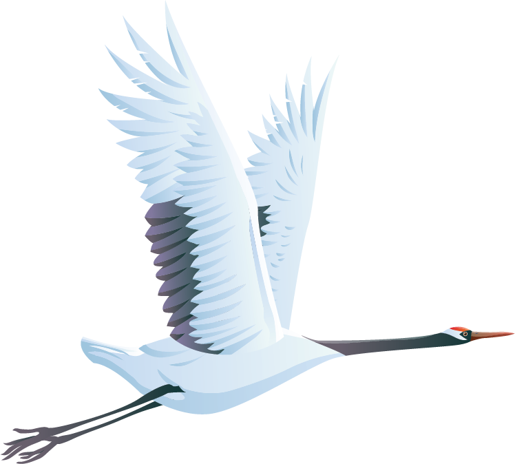 Elegant Swan In Flight PNG Image