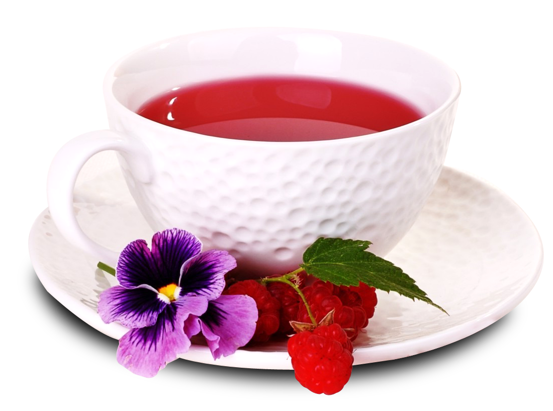 Elegant Tea Cup With Berries And Flower PNG Image