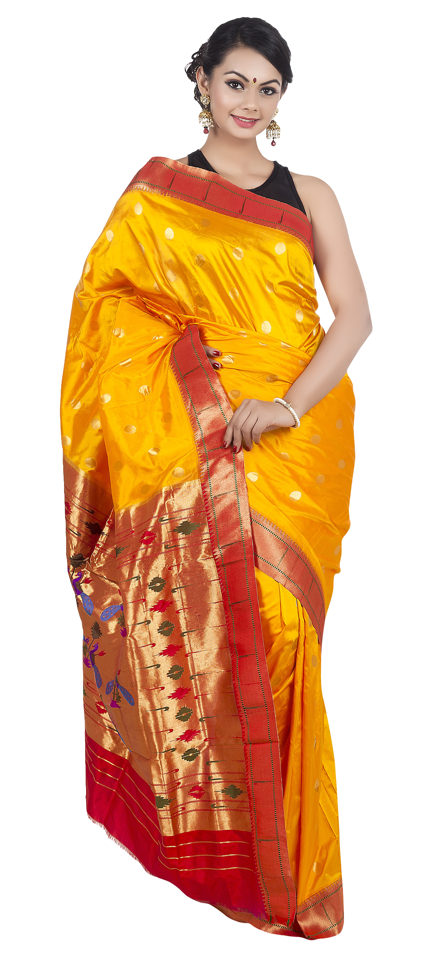 Elegant Traditional Saree Attire PNG Image