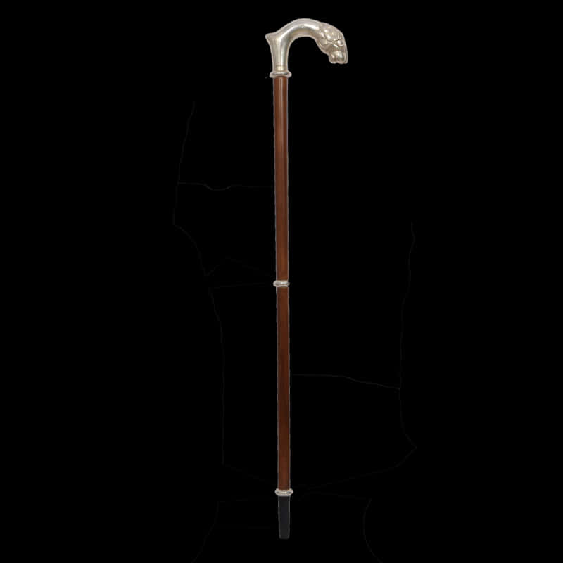 Elegant Walking Cane PNG Image