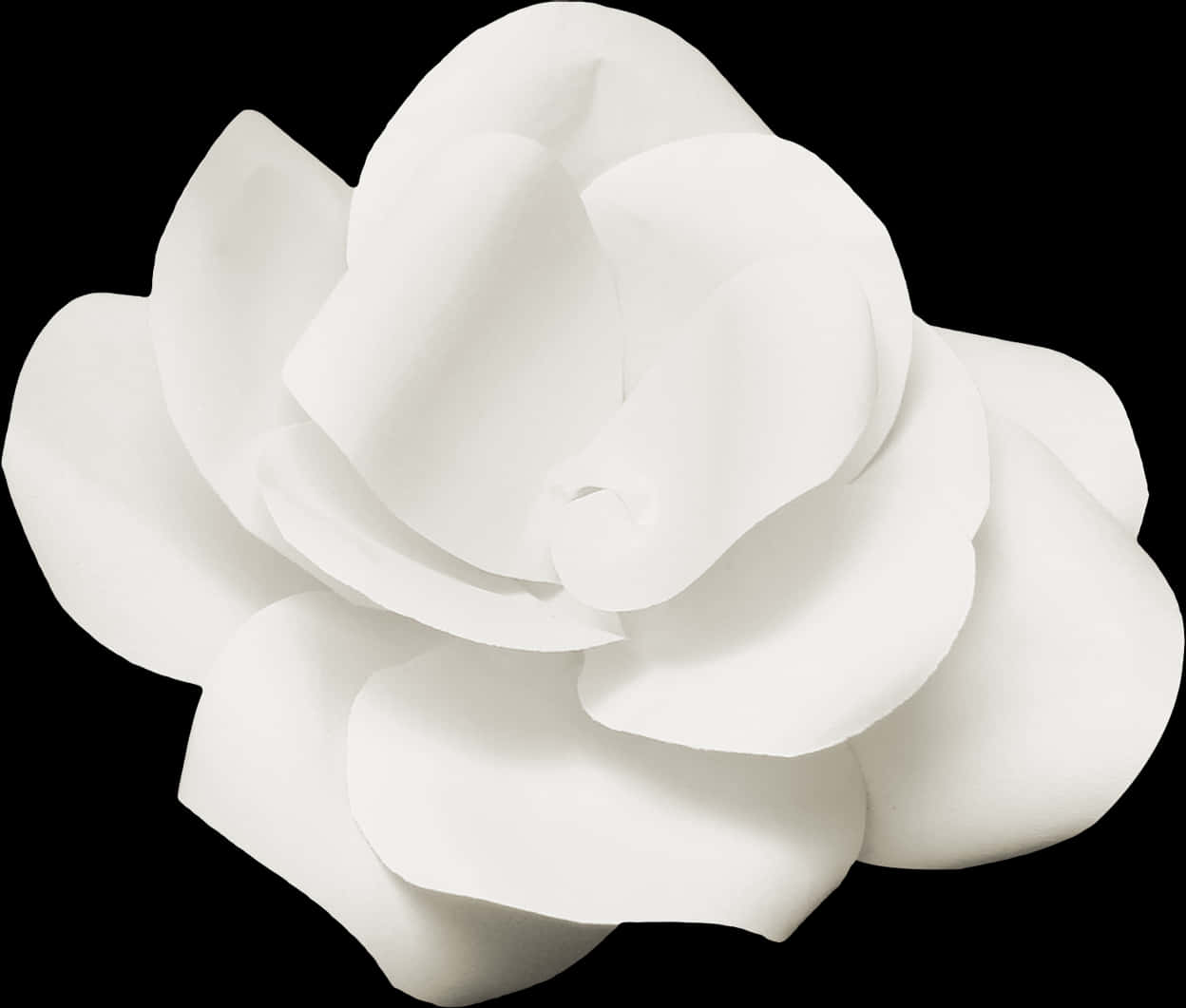 Elegant_ White_ Flower_ Black_ Background.jpg PNG Image