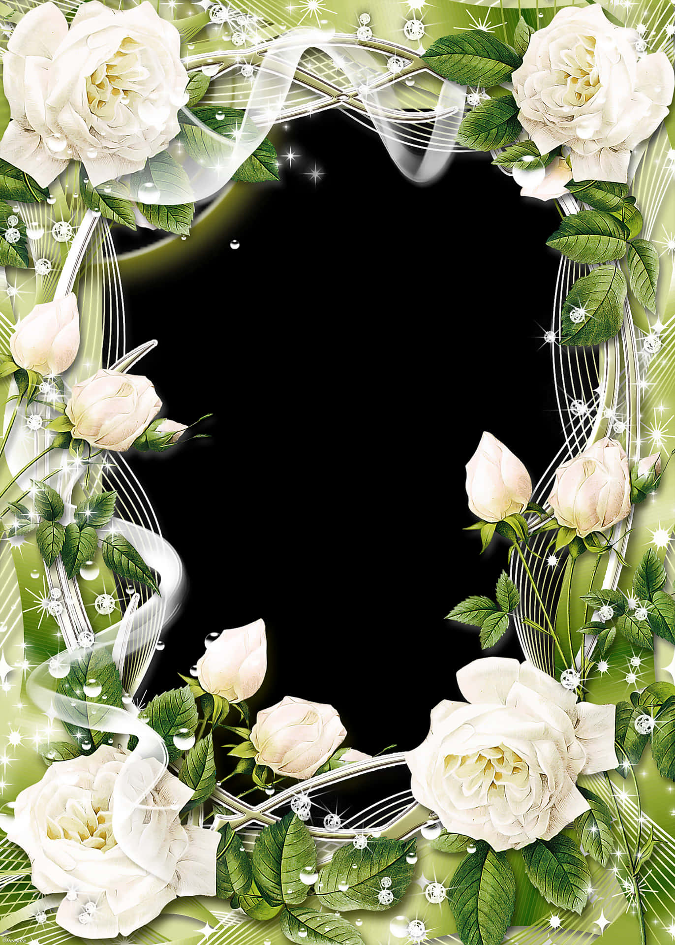 Elegant_ White_ Roses_ Frame PNG Image