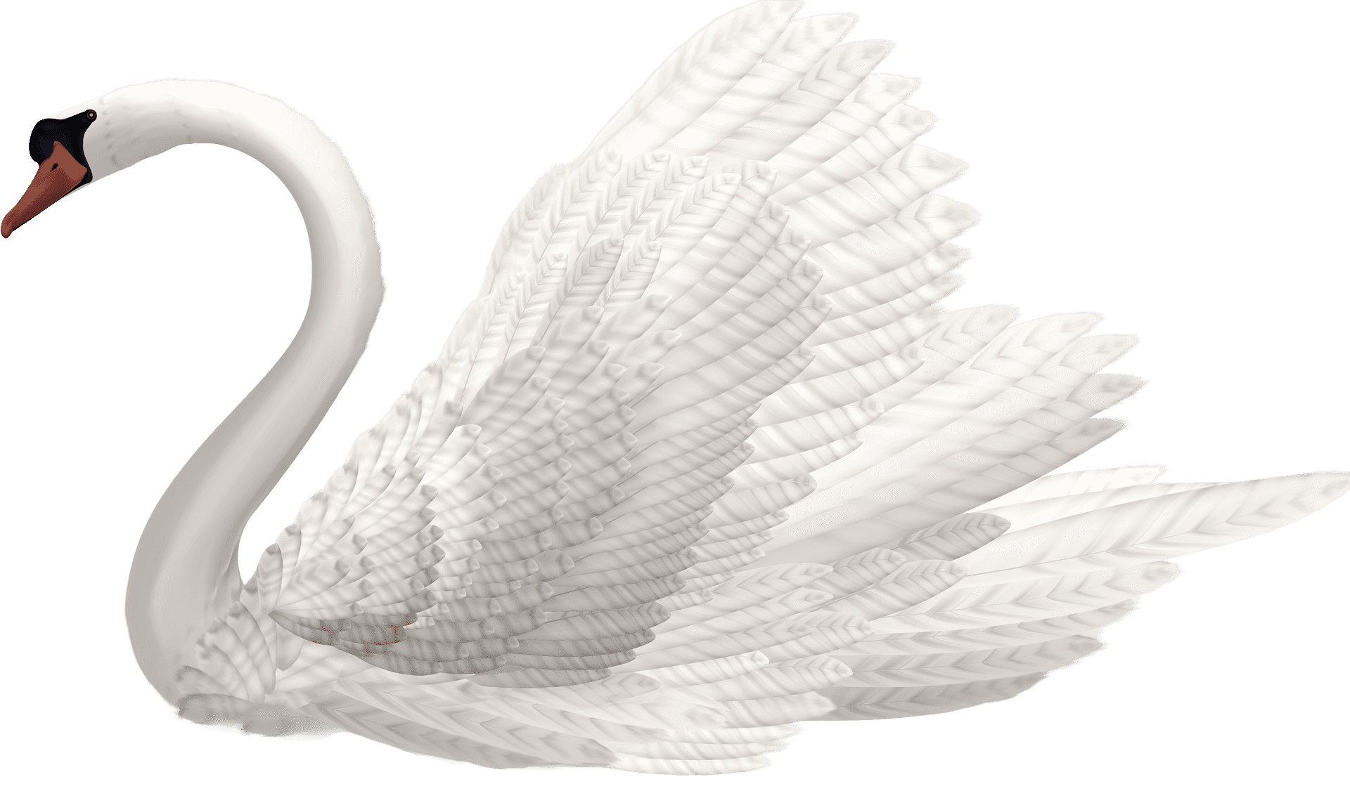 Elegant White Swan PNG Image