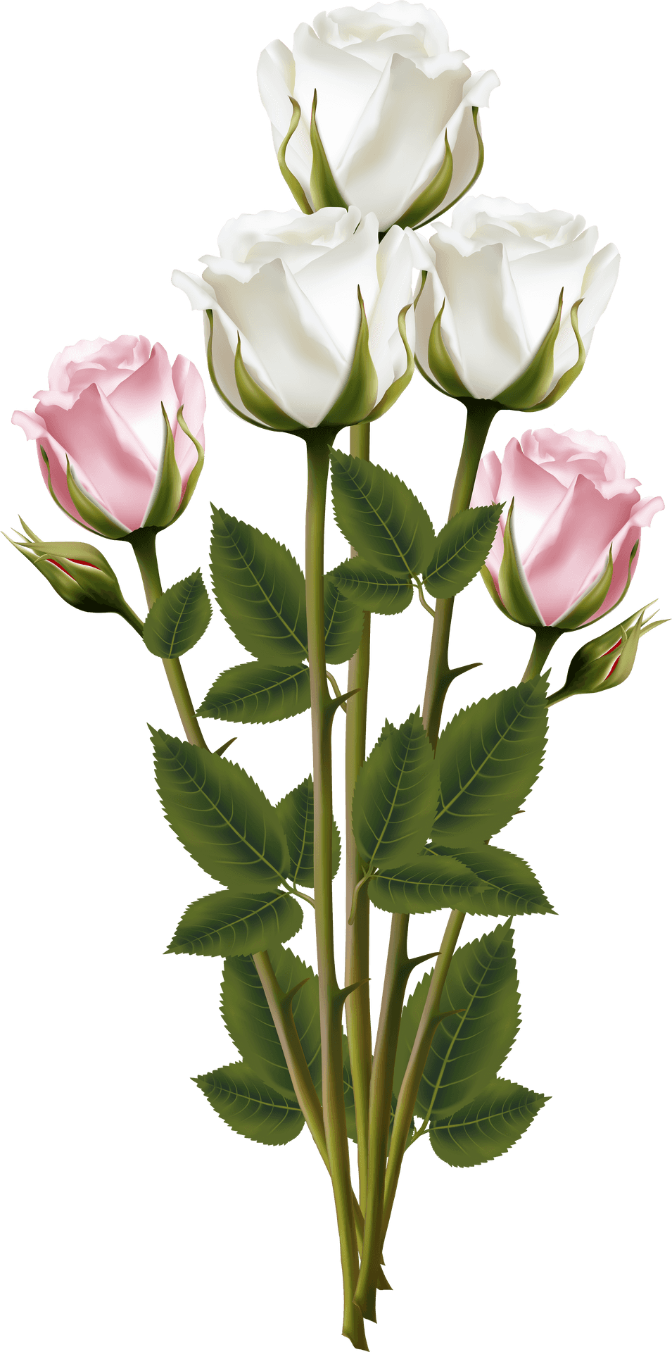 Elegant Whiteand Pink Roses Bouquet PNG Image