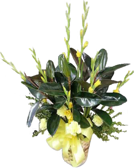 Elegant Yellow Gladiolus Arrangement PNG Image