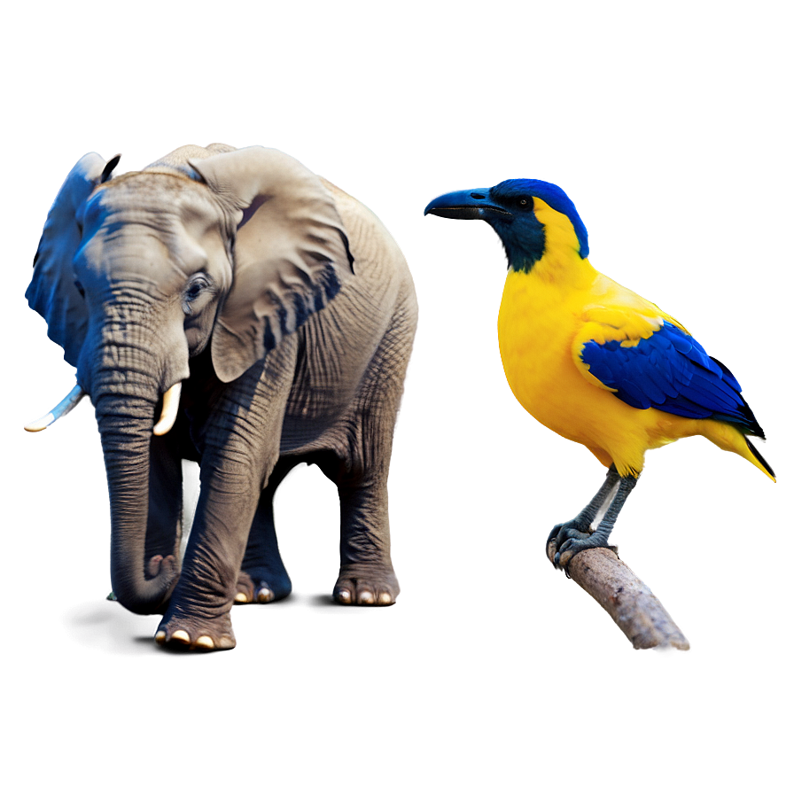 Elephant And Bird Friendship Png Dim73 PNG Image