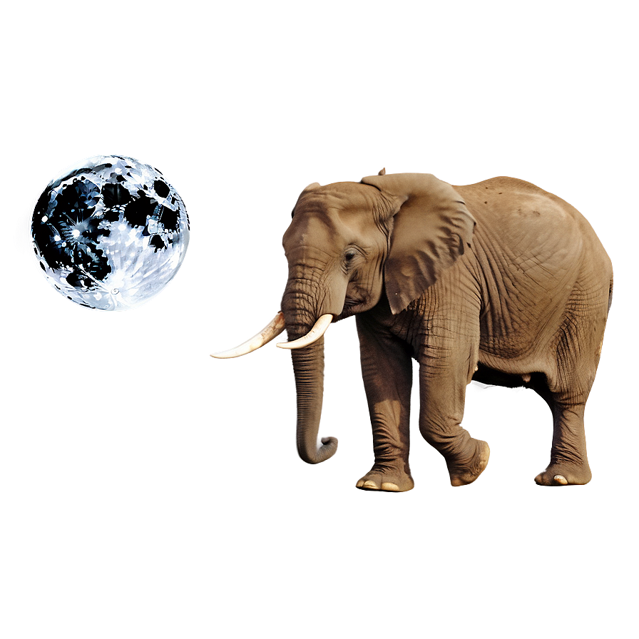 Elephant In Full Moon Night Png Fus PNG Image