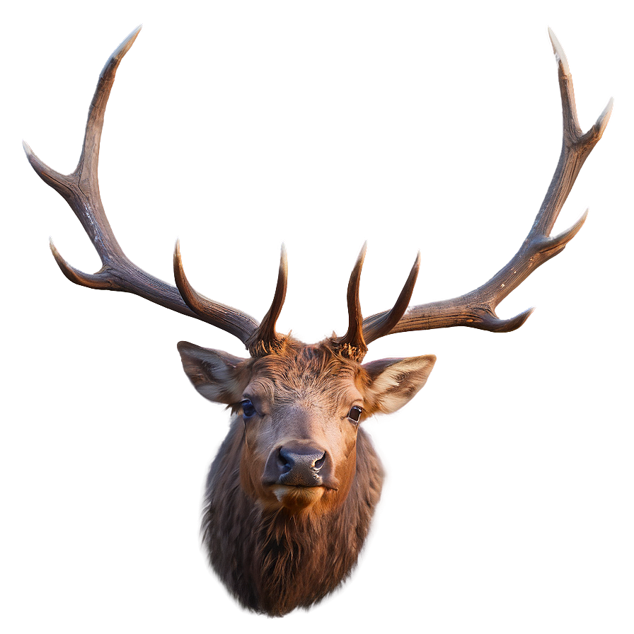 Elk Digital Art Png 05242024 PNG Image