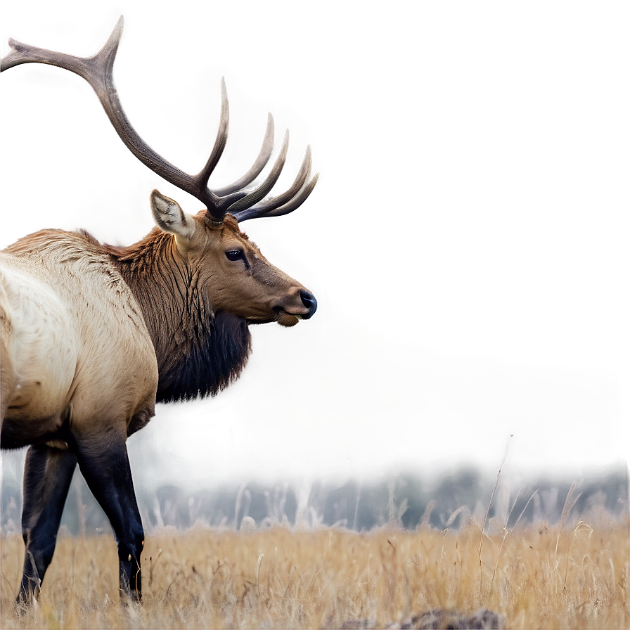 Elk Habitat Png Mhx PNG Image