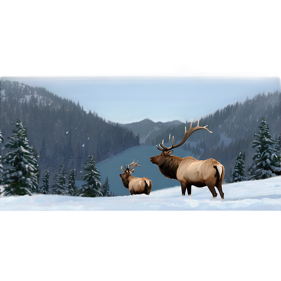 Elk In Snow Png 26 PNG Image