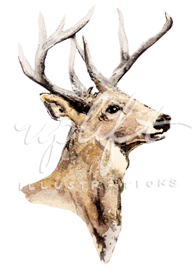 Elk Watercolor Illustration PNG Image