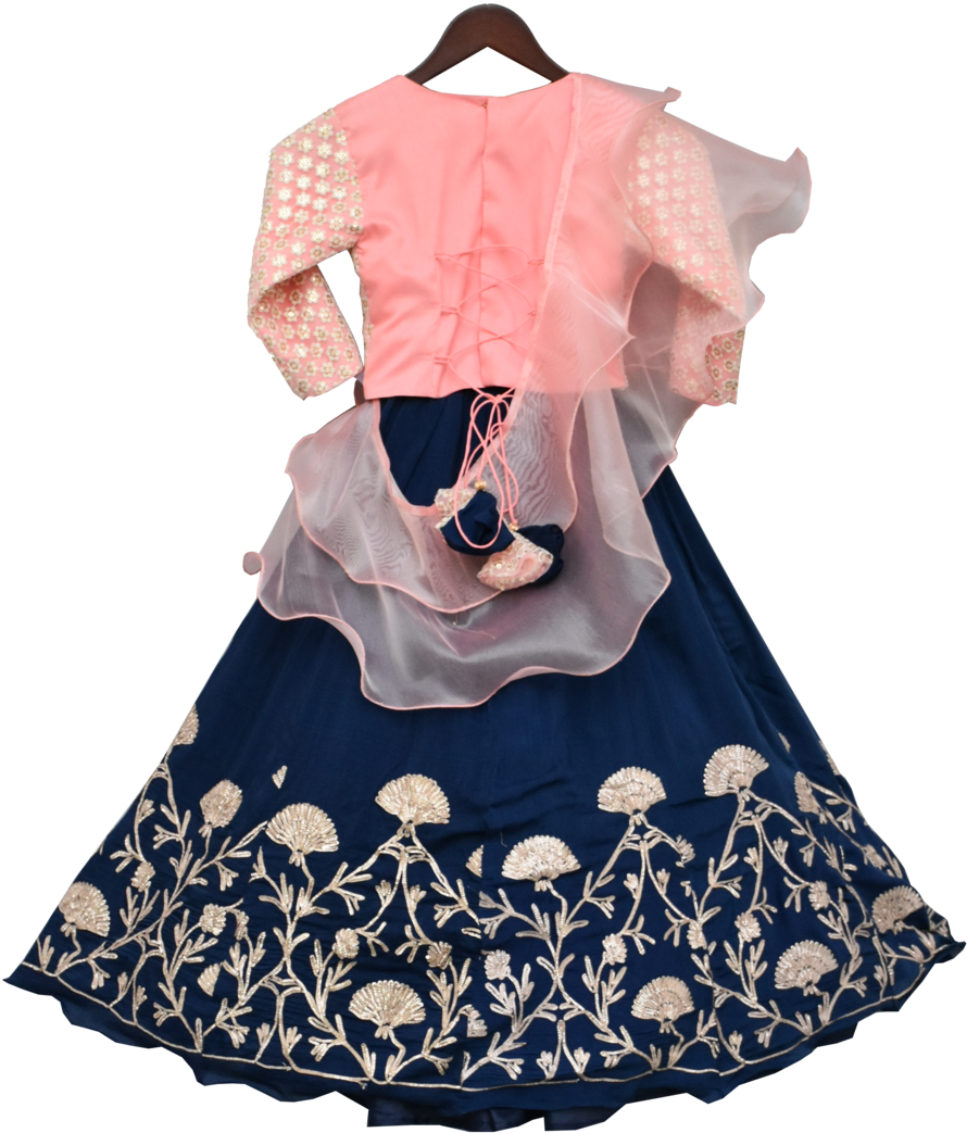 Embroidered Blue Lehengawith Pink Blouse PNG Image