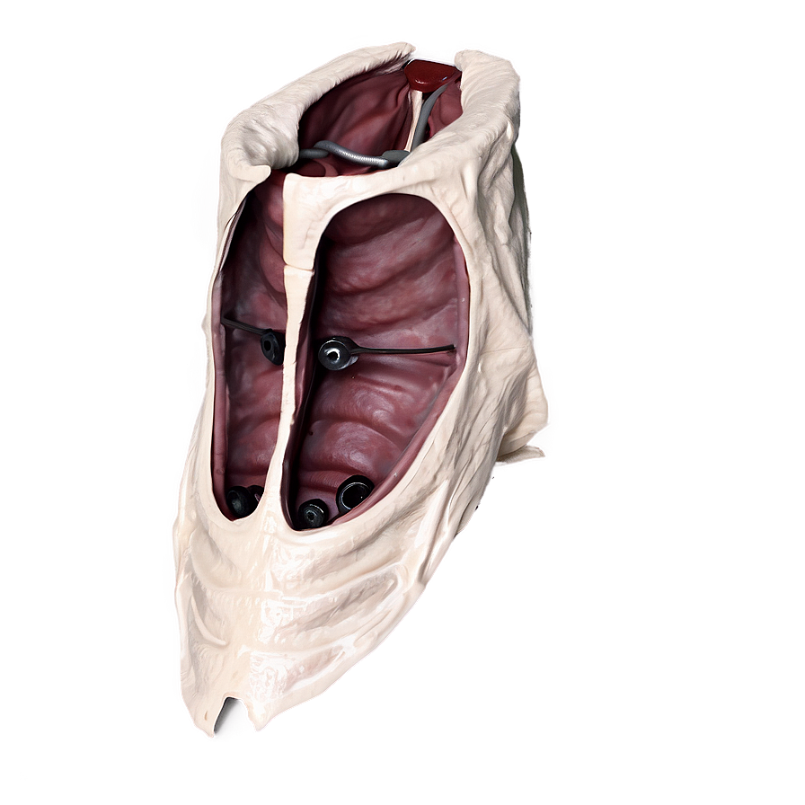 Emergency Cricothyrotomy Png Thg PNG Image