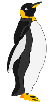 Emperor Penguin Illustration PNG Image