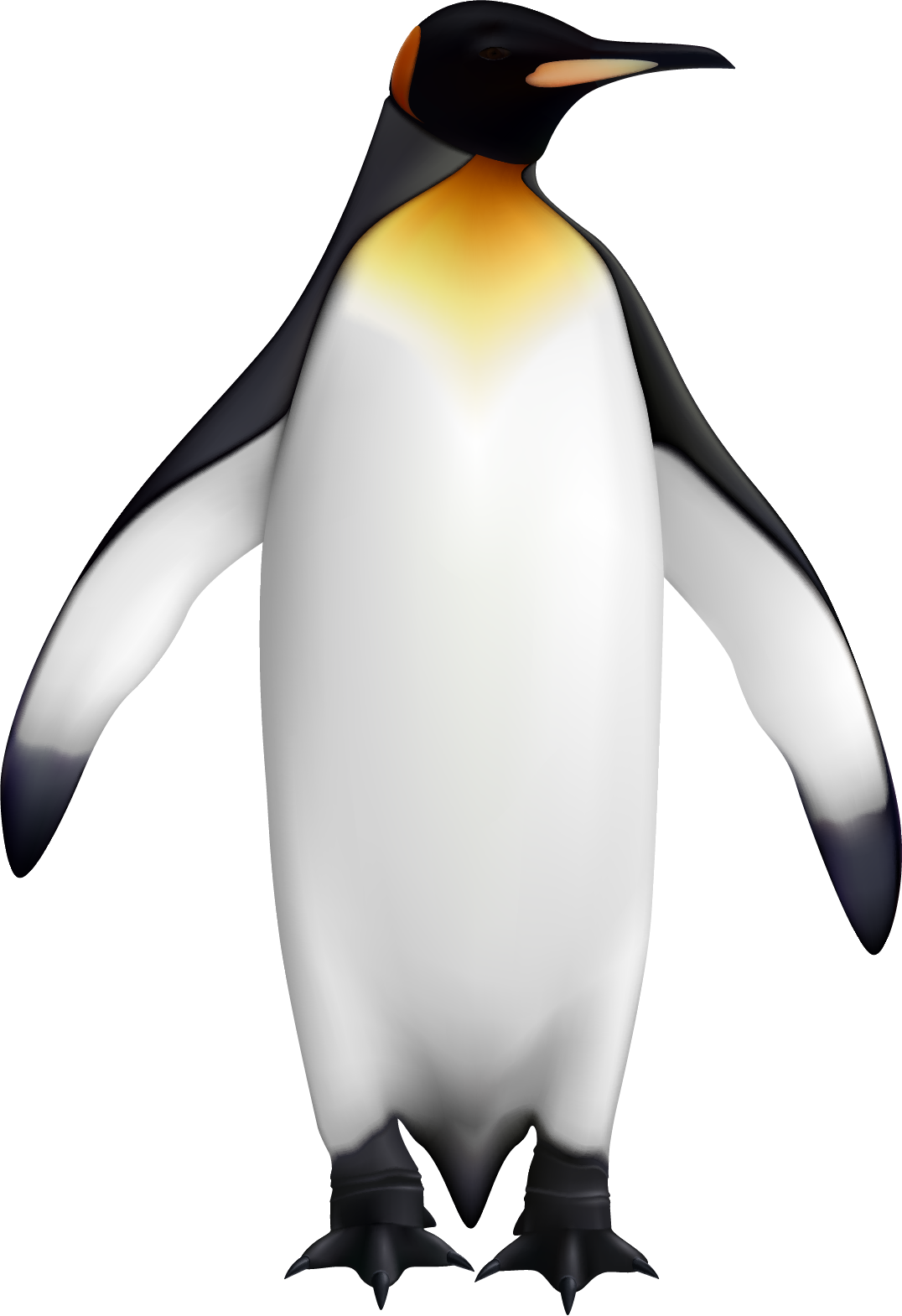 Emperor Penguin Illustration.png PNG Image