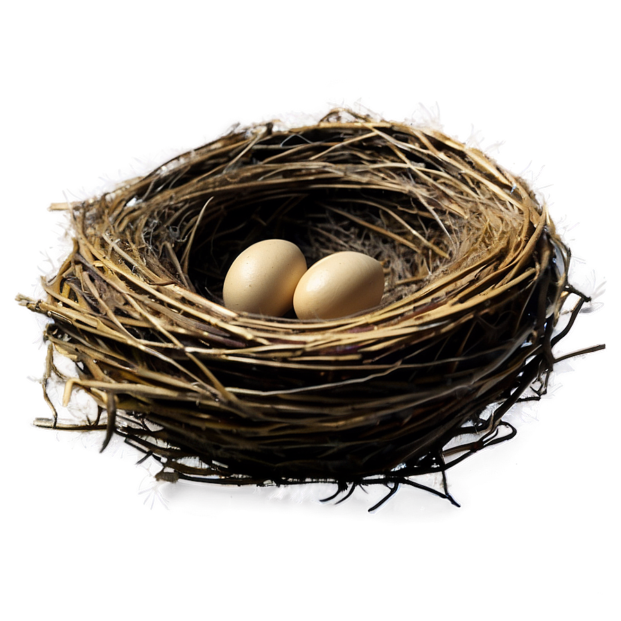 Empty Bird Nest Png Oau PNG Image