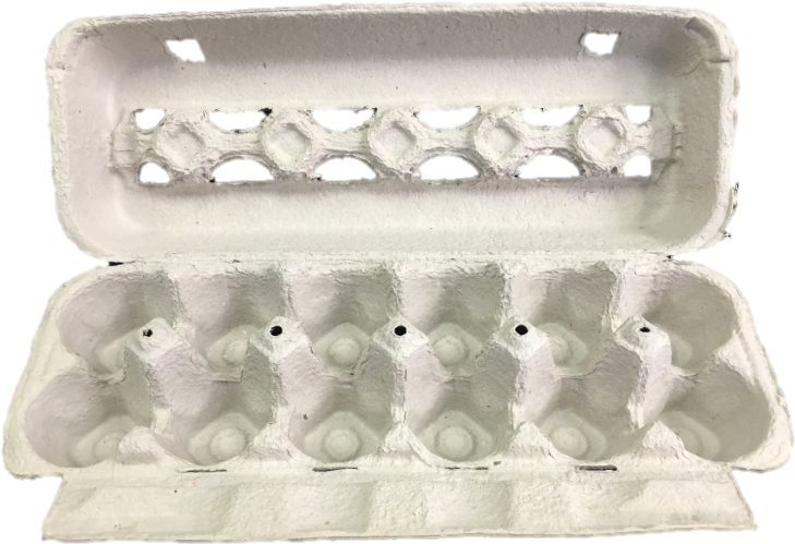 Empty Egg Carton Open Top View PNG Image