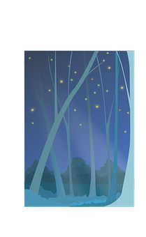 Enchanted Forest Night Scene PNG Image