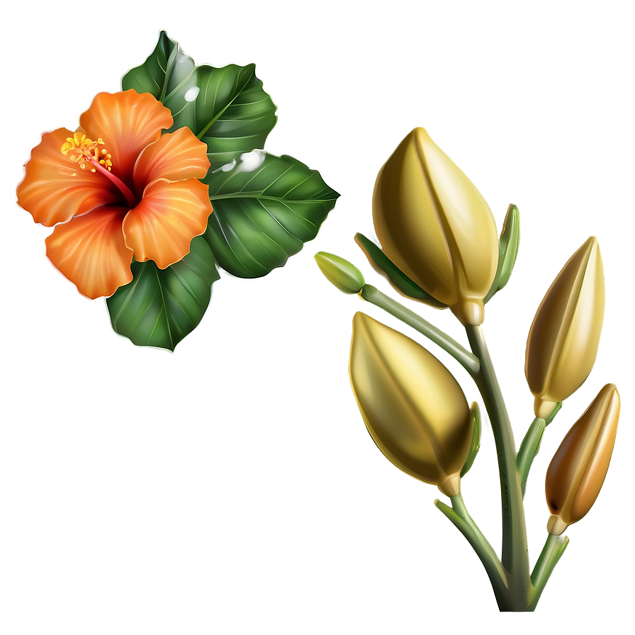 Enchanted Orange Hibiscus Png Epx PNG Image