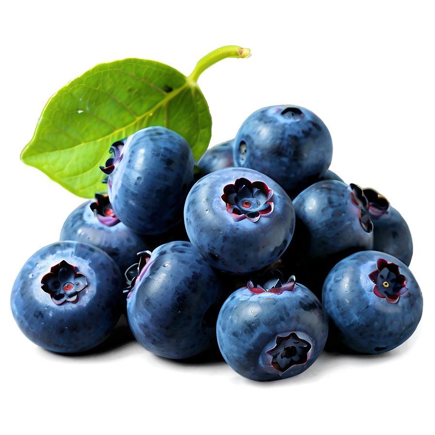 Enchanting Blueberry Bliss Png Vpr PNG Image