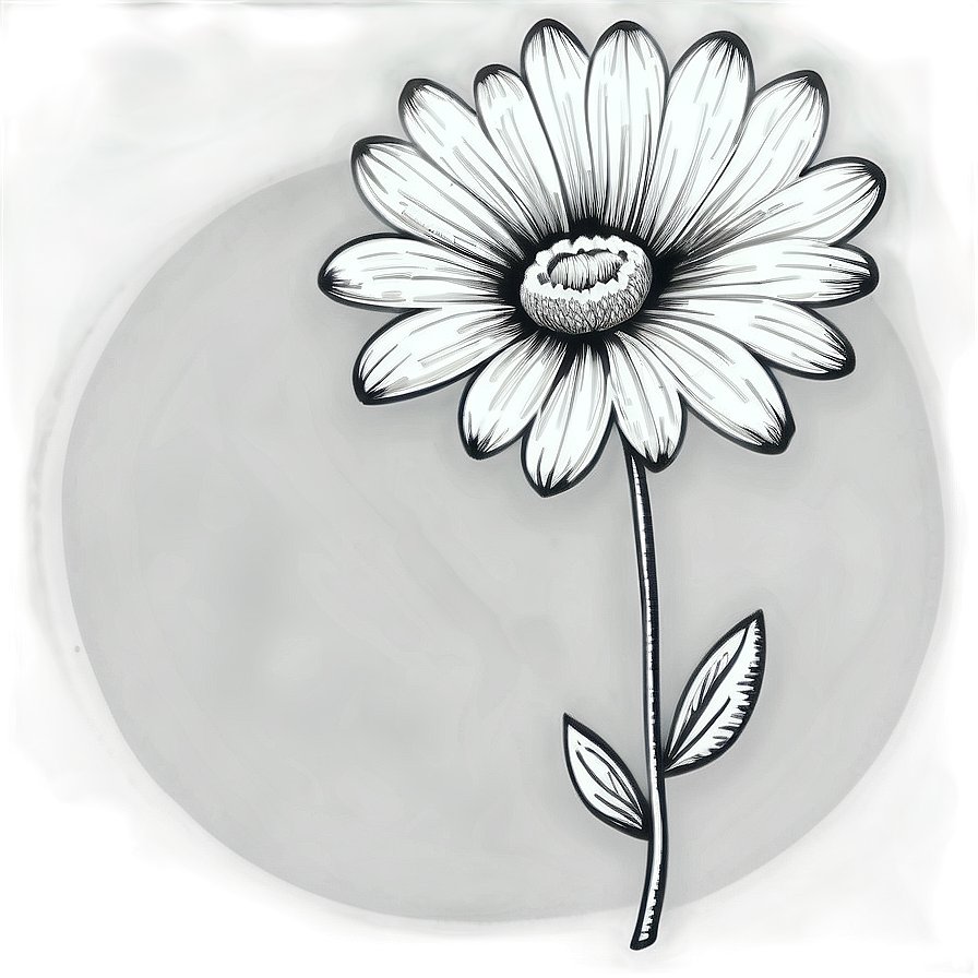 Engraved Black And White Flowers Png 66 PNG Image