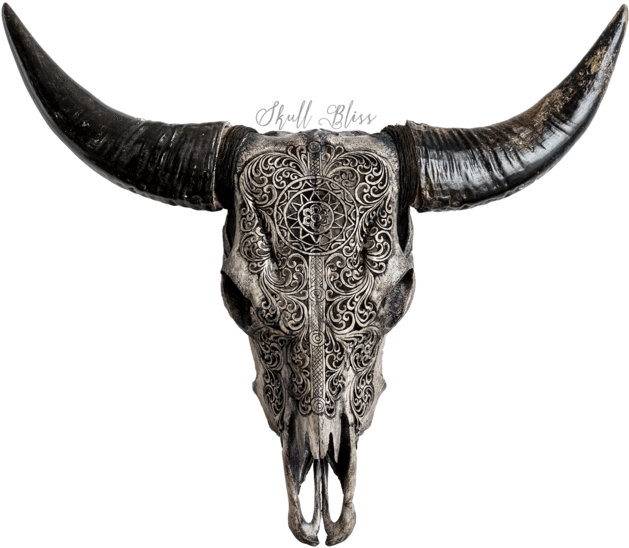 Engraved Goat Skullwith Horns PNG Image