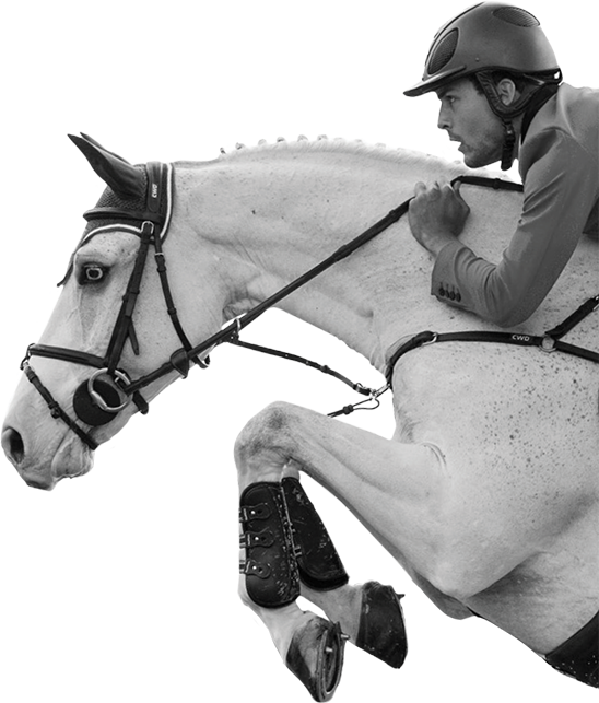 Equestrian Jump Practice PNG Image