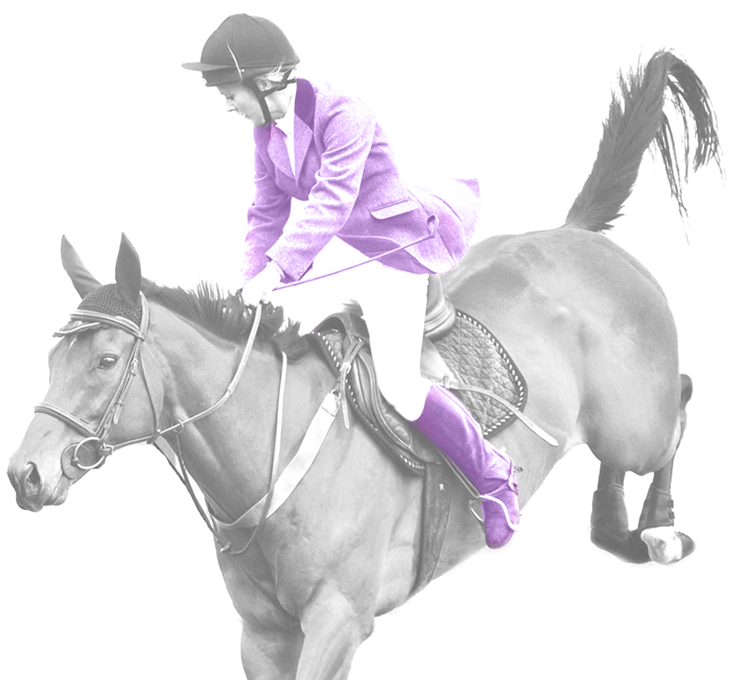 Equestrianin Purple Jacket Riding Horse PNG Image