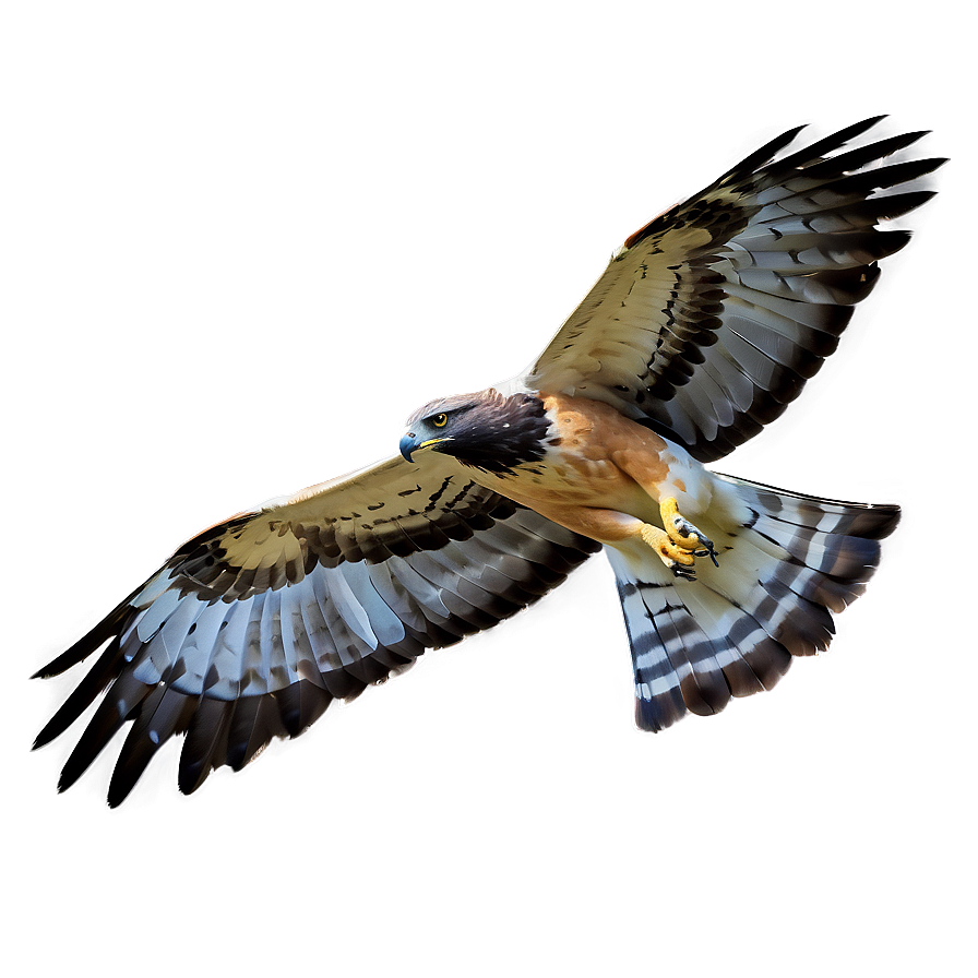 Ethereal Hawk In Flight Png Gku62 PNG Image