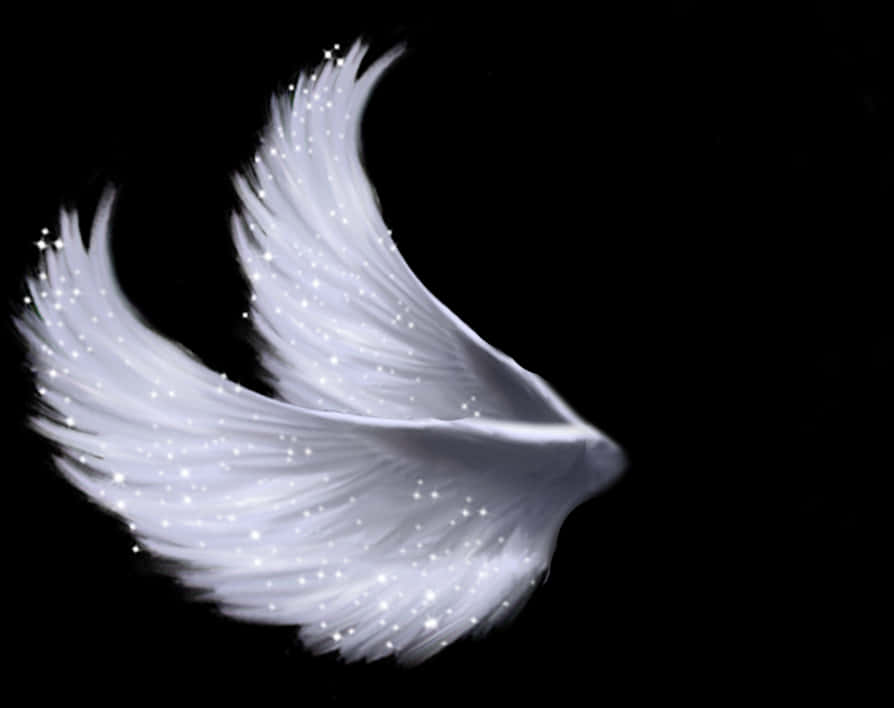 Ethereal White Wingson Black PNG Image