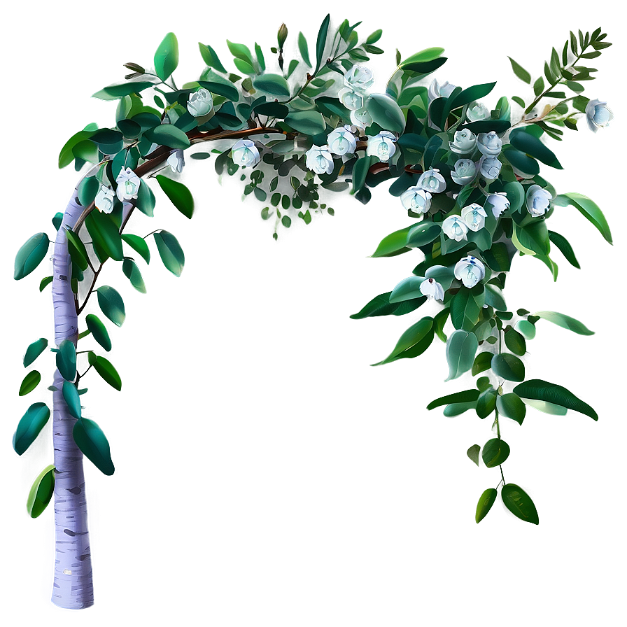 Eucalyptus Branch Arch Png Qje PNG Image