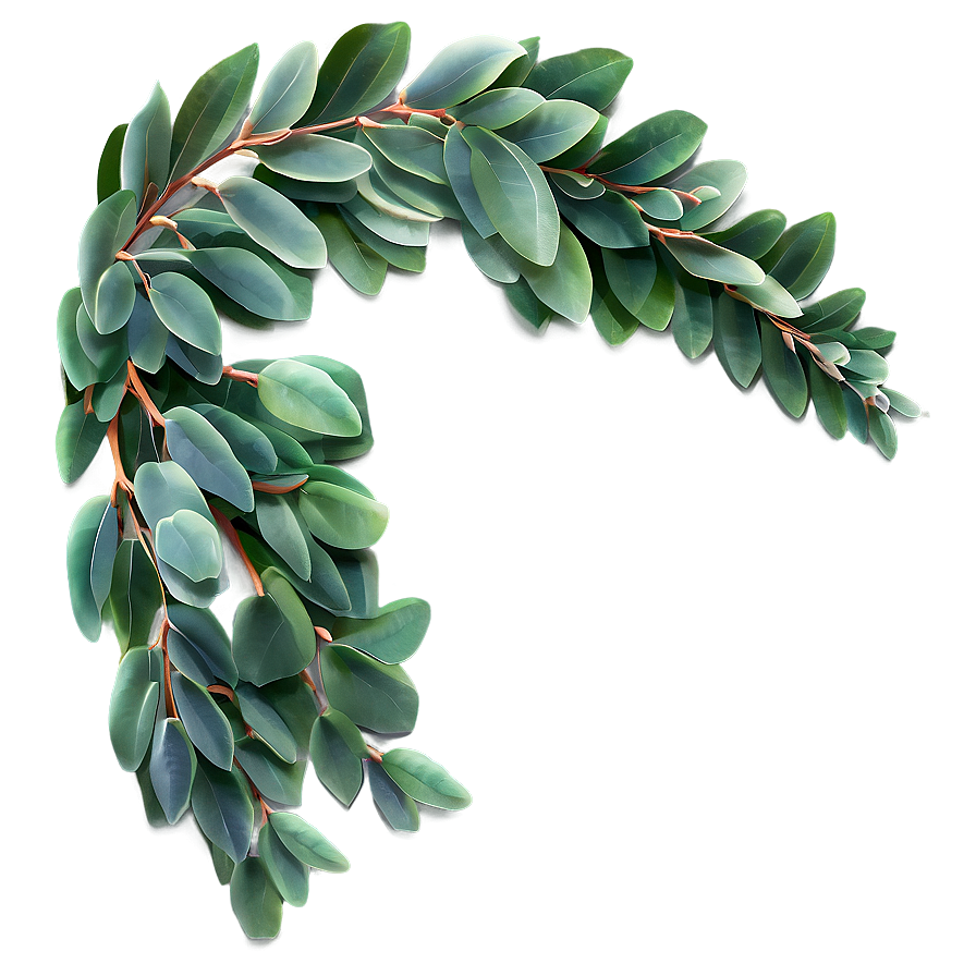 Eucalyptus Branch Arch Png Uqn PNG Image