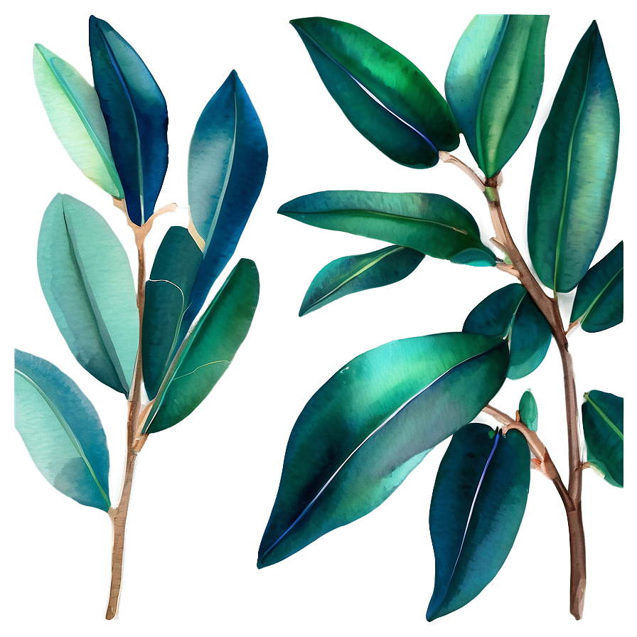 Eucalyptus Sprig Watercolor Png 2 PNG Image