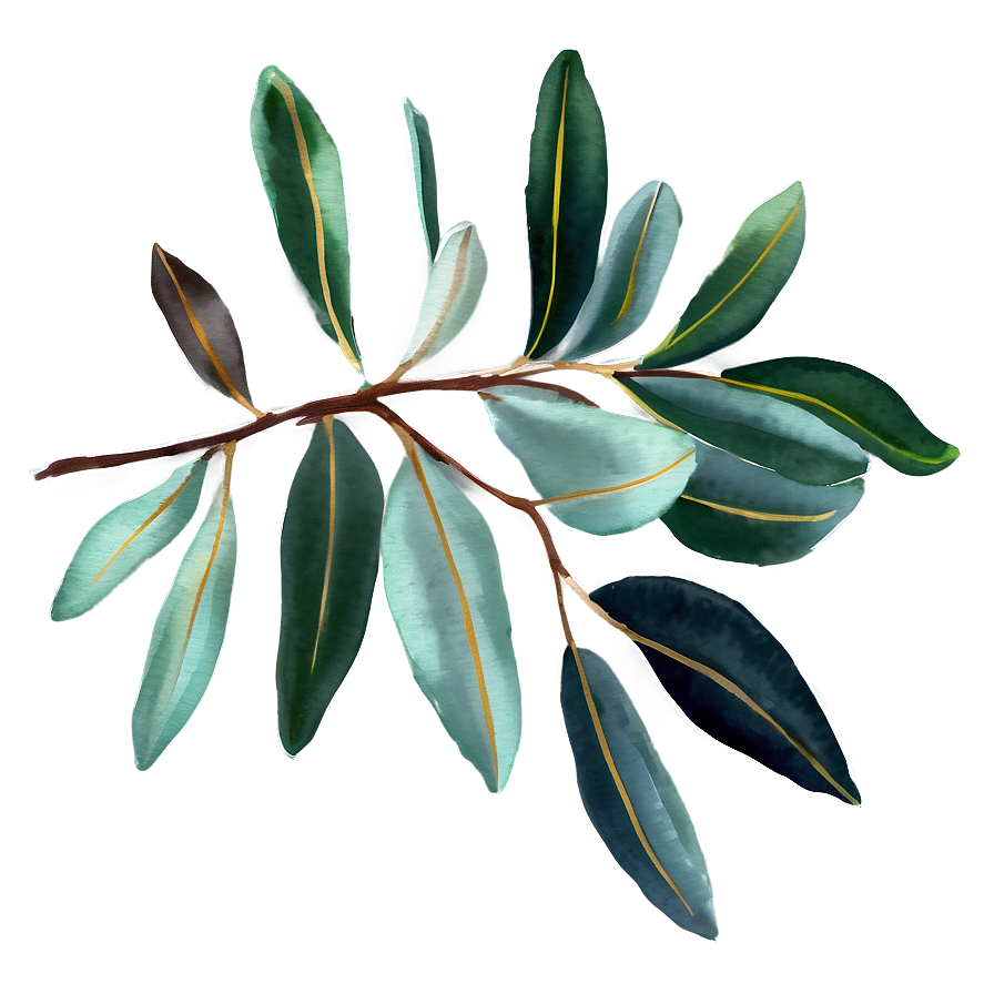 Eucalyptus Sprig Watercolor Png Isn PNG Image