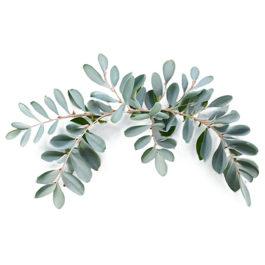 Eucalyptus Table Centerpiece Png 39 PNG Image