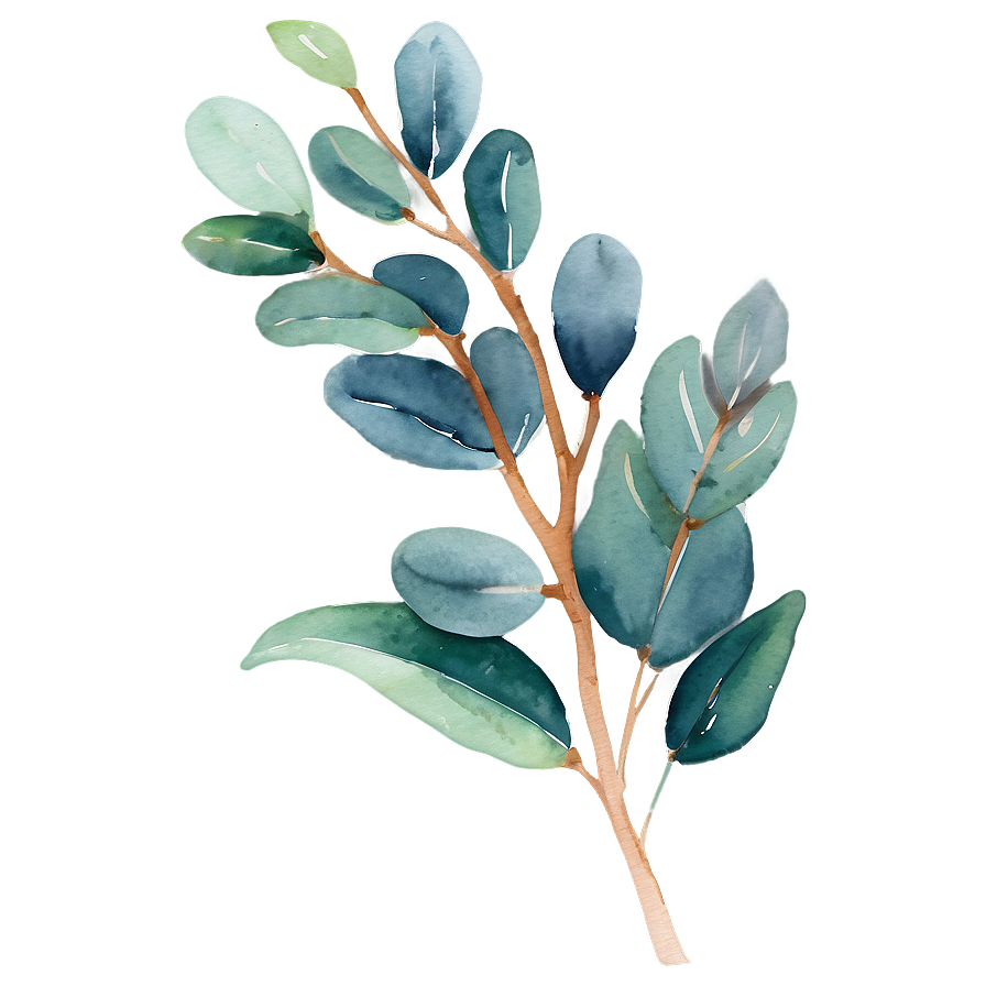 Eucalyptus Watercolor Phone Wallpaper Png Fmi71 PNG Image