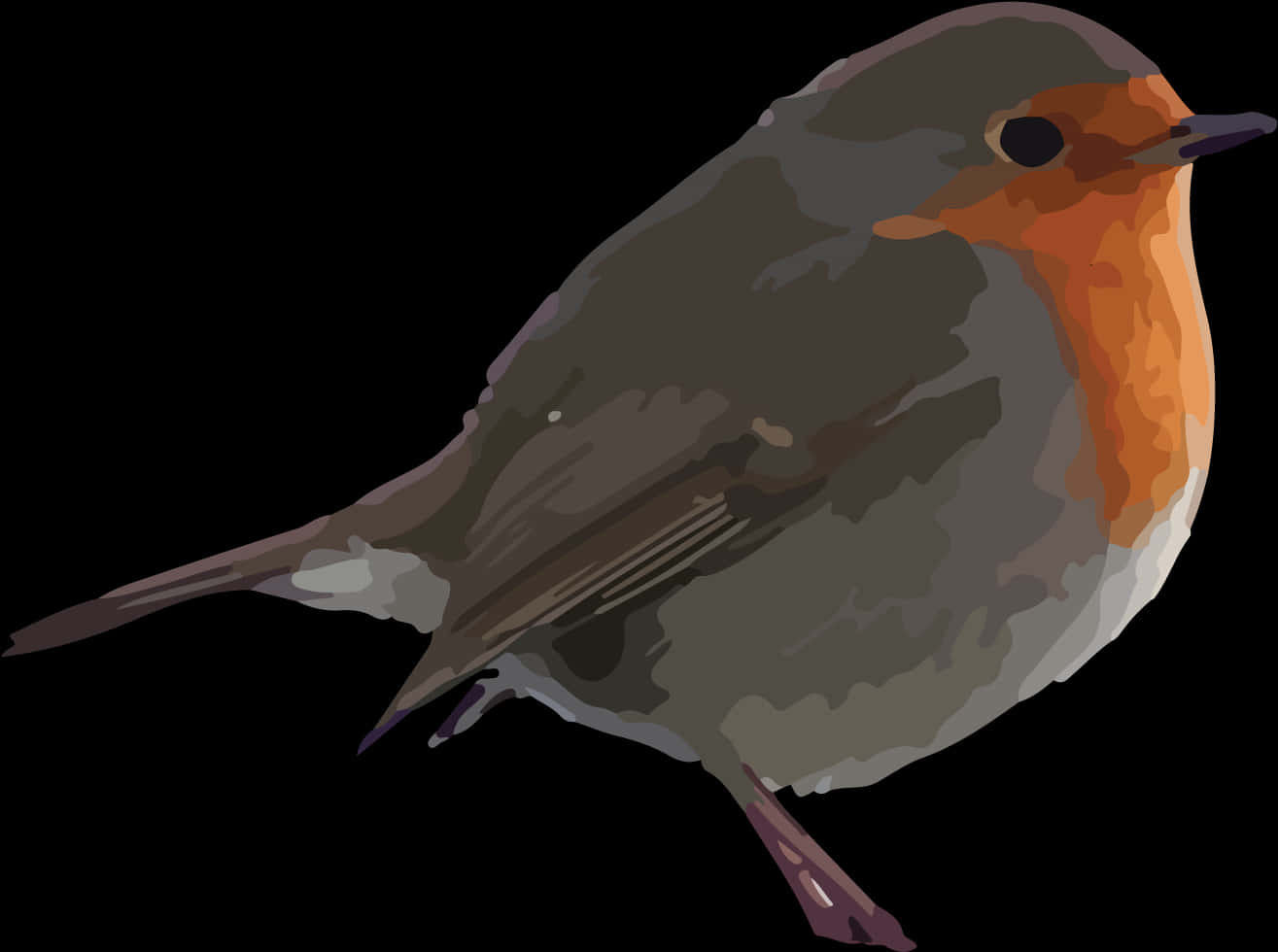 European Robin Illustration PNG Image