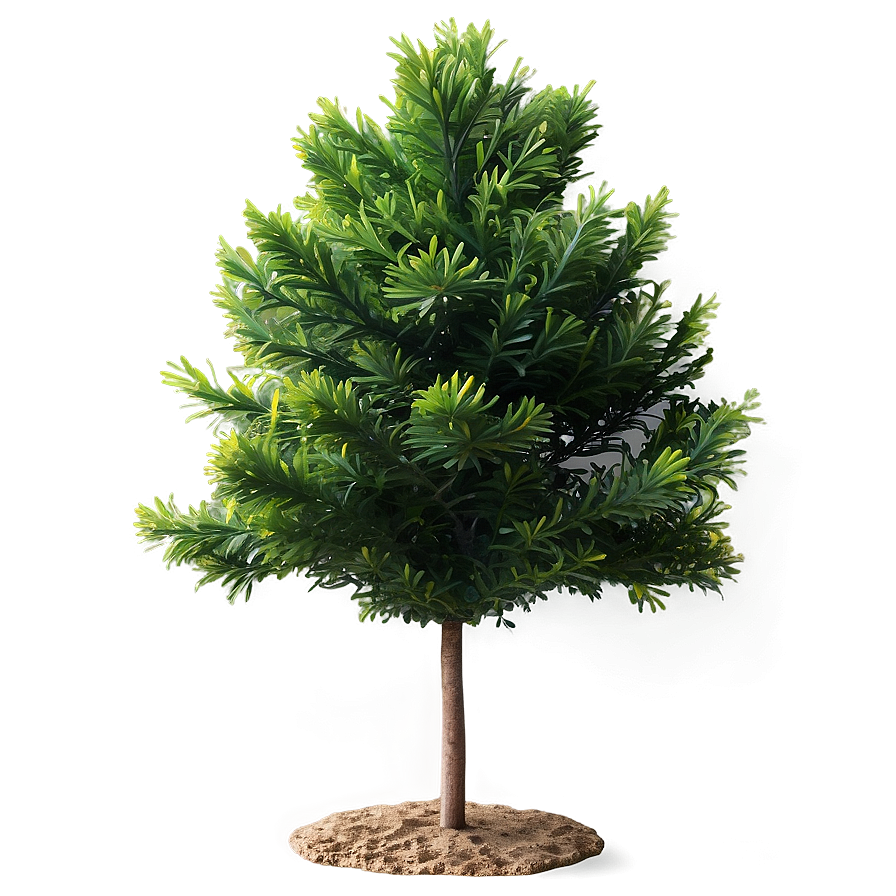 Evergreen Bush Png Gcu96 PNG Image