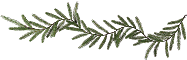 Evergreen Garland Branch.png PNG Image