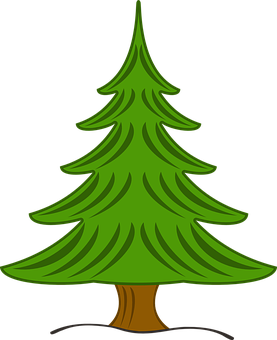 Evergreen Pine Tree Vector PNG Image