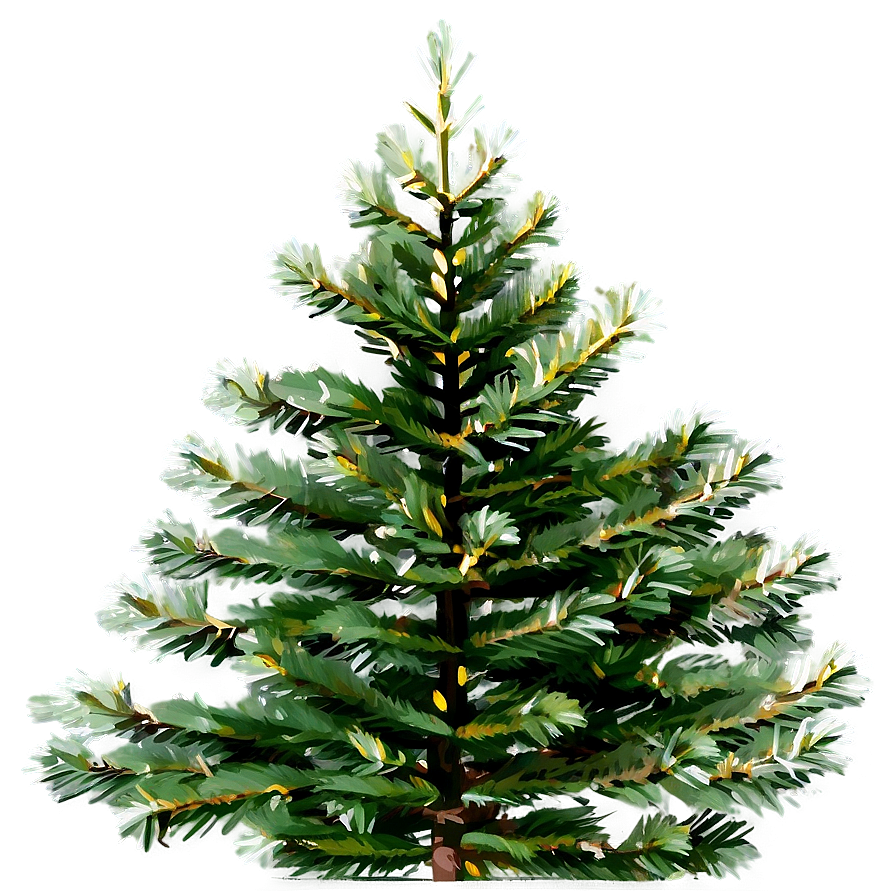 Evergreen Spruce Tree Png Vse45 PNG Image