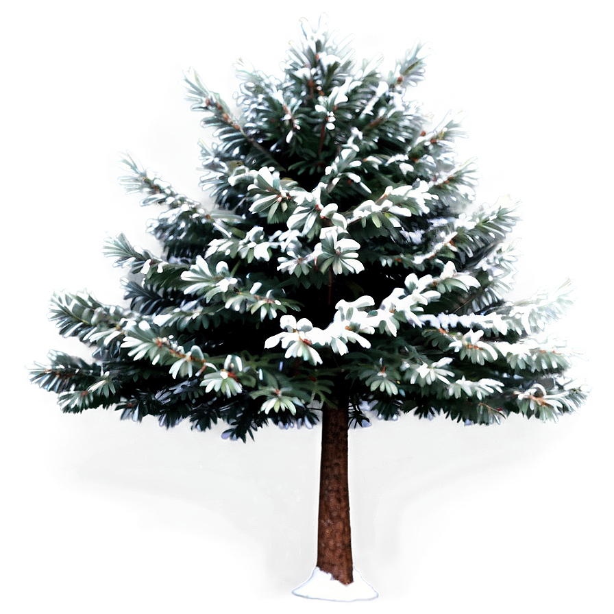 Evergreen Tree Design Png Mik PNG Image