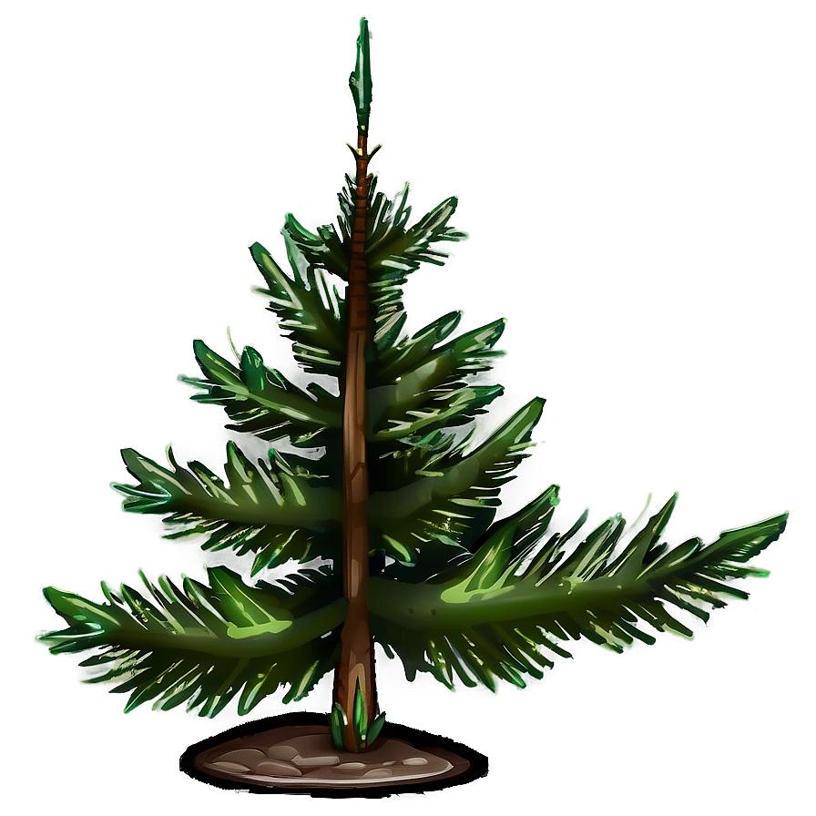 Evergreen Tree Icon Png Iyg PNG Image