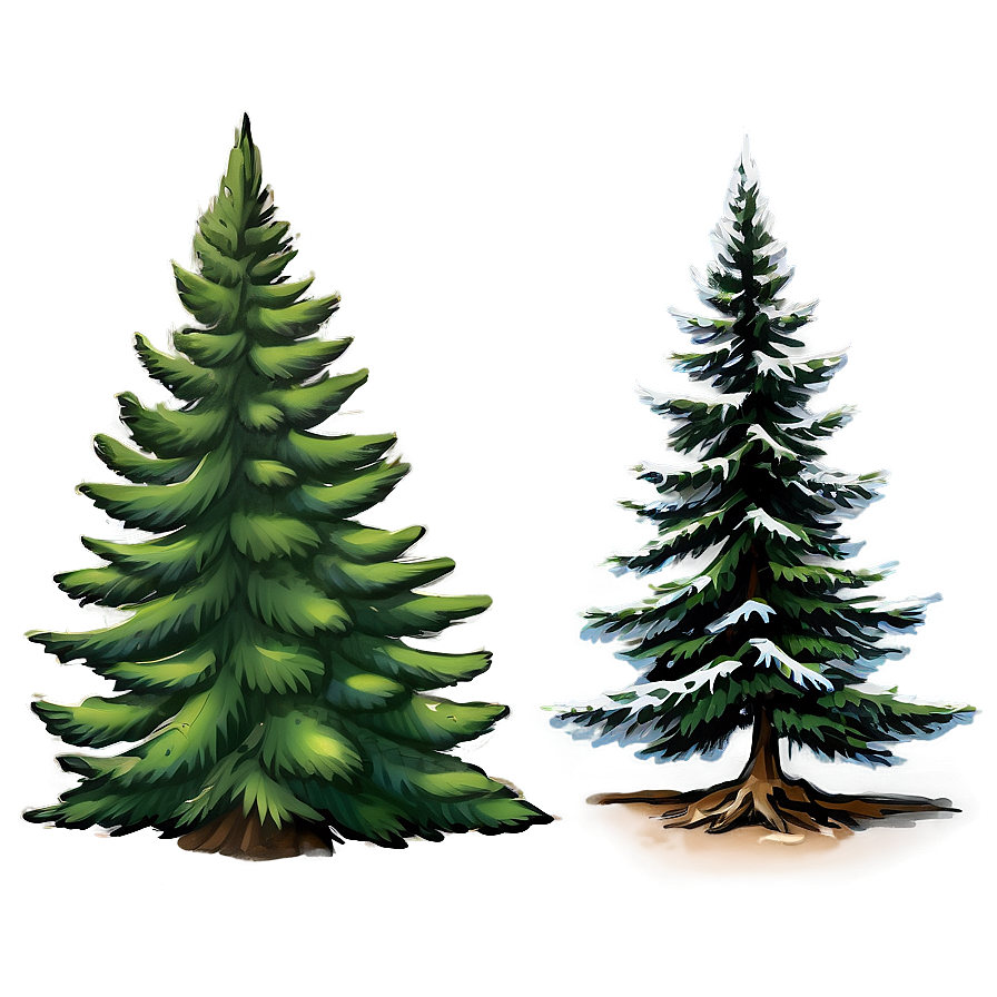 Evergreen Tree Sketch Png Bwx97 PNG Image